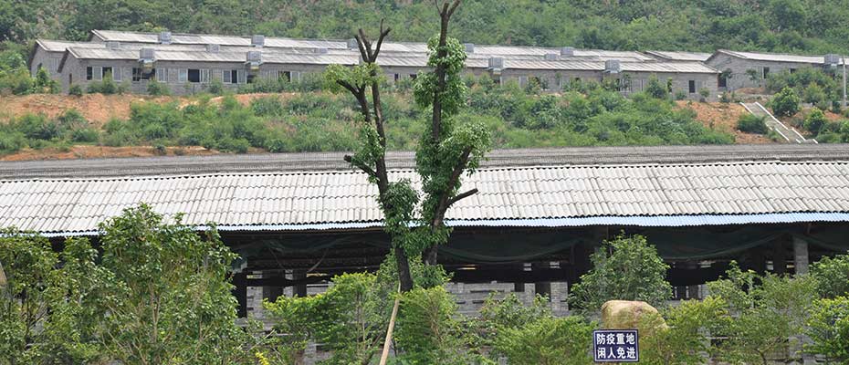 養(yǎng)殖企業(yè)環(huán)?？照{(diào)韶關(guān)番靈畜牧案例